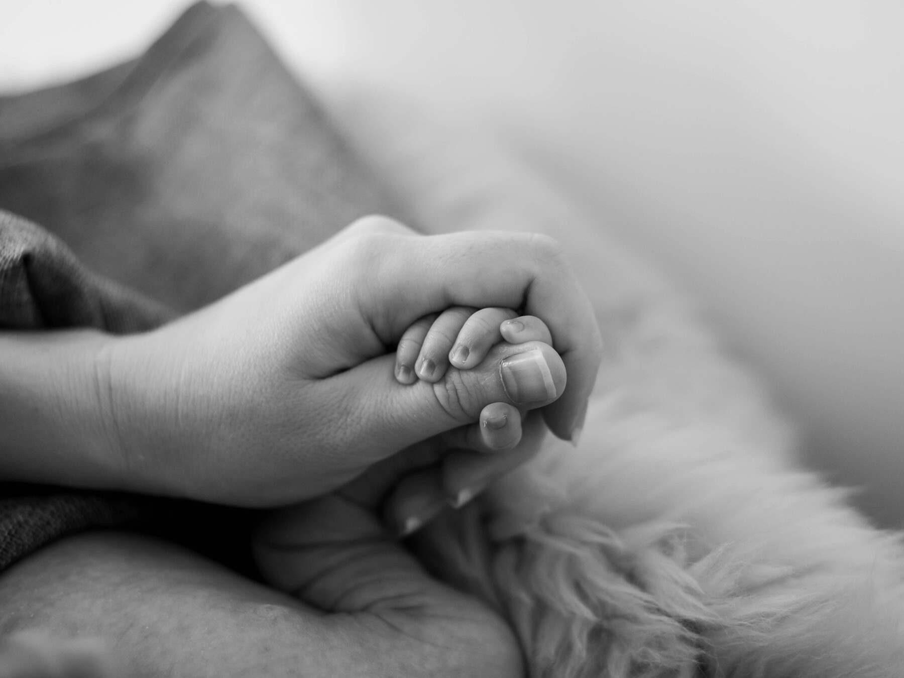 Pies tak, dziecko nie. To nie jest kraj dla małych ludzi